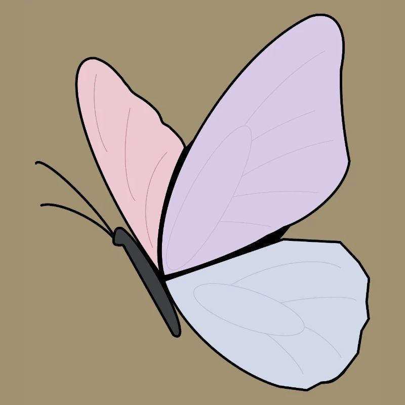 Conception de papillon pastel