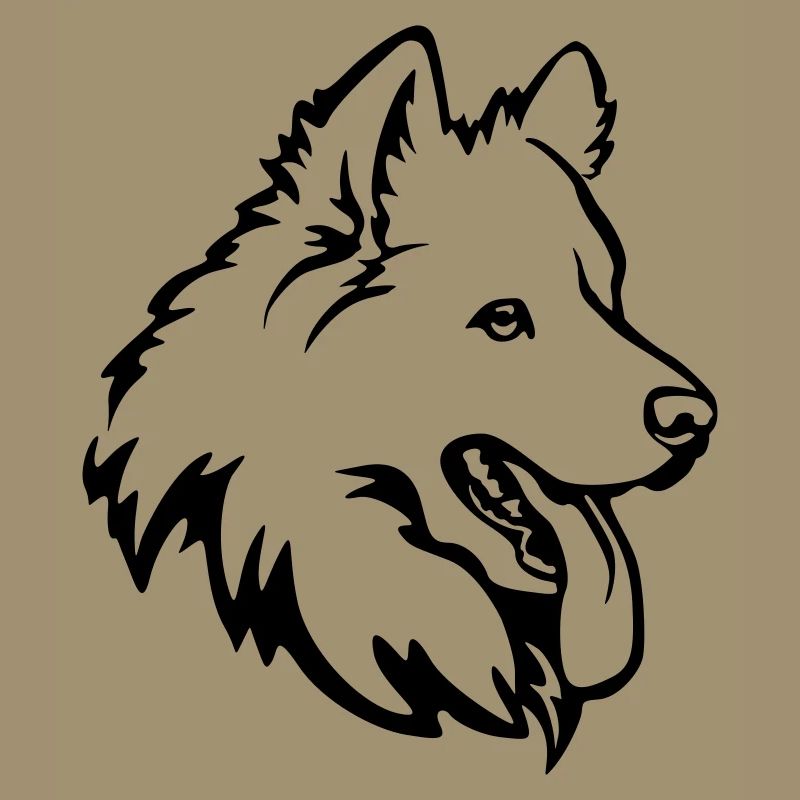Samoyed head