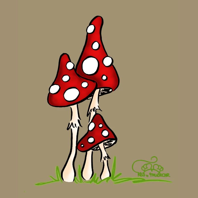 Muchotravky - Toadstools