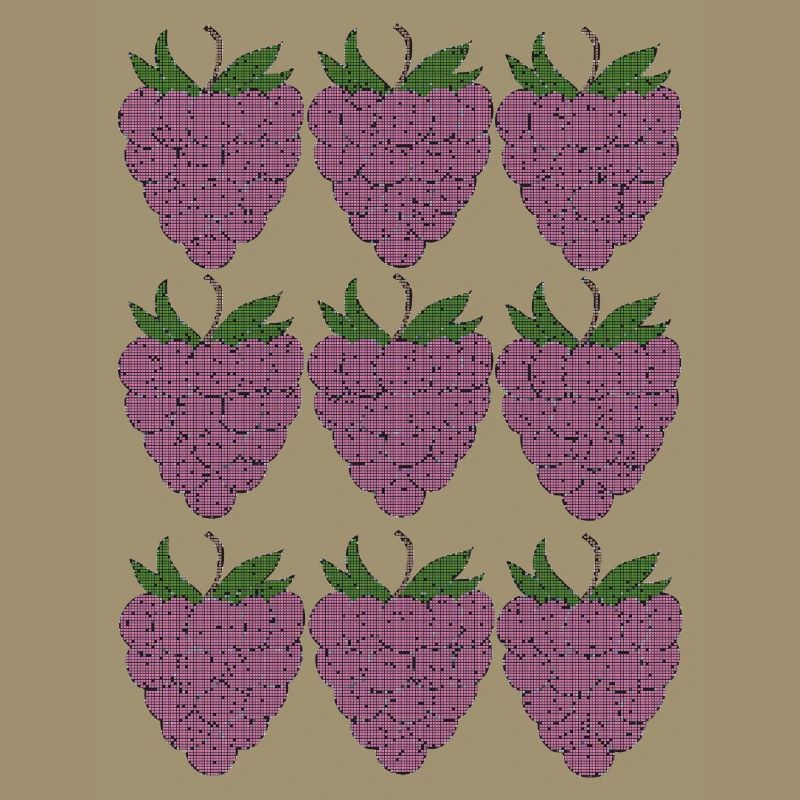 raspberry pattern textile