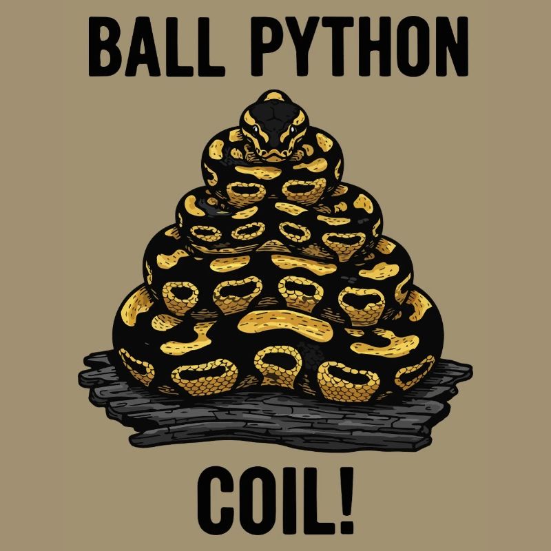 Royal Python Ball Python Coil Reptile Pyramid