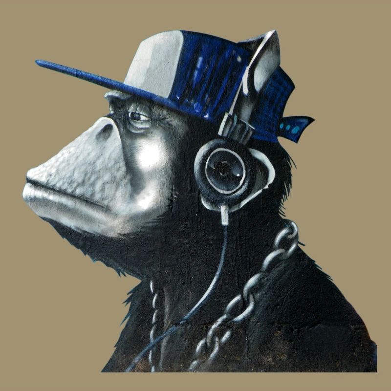 Monkey graffiti by CustomStyle