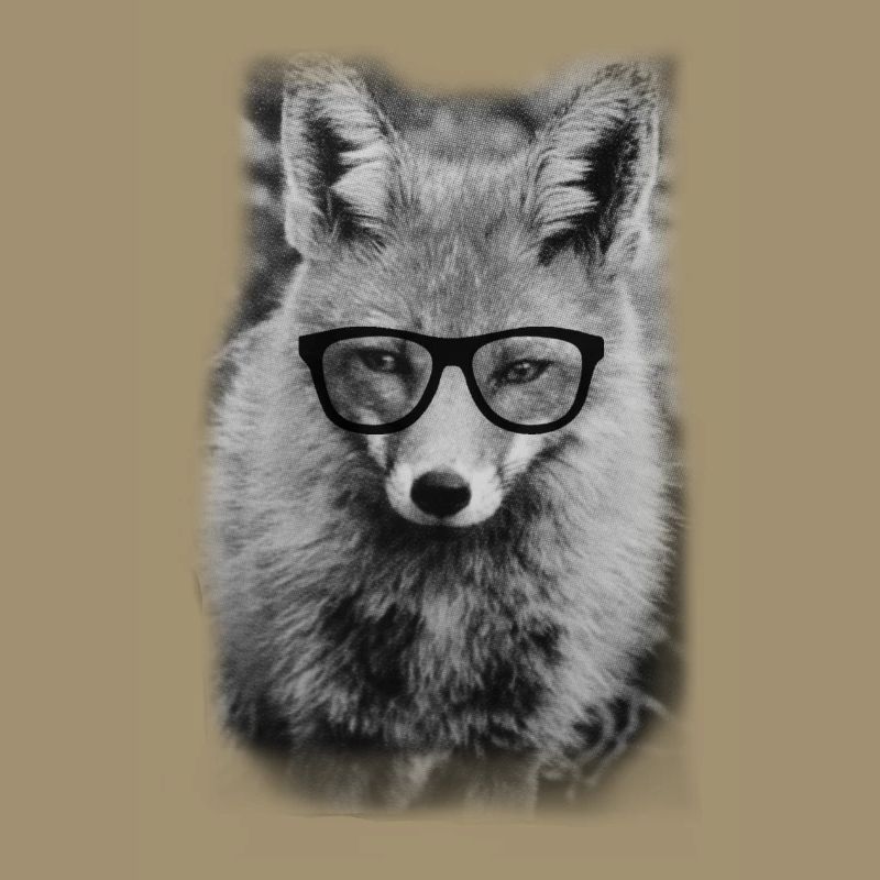 Nerd Fox
