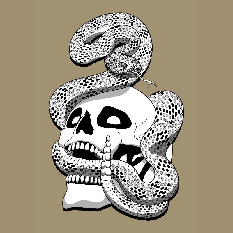 Serpent à sonnette et crâne