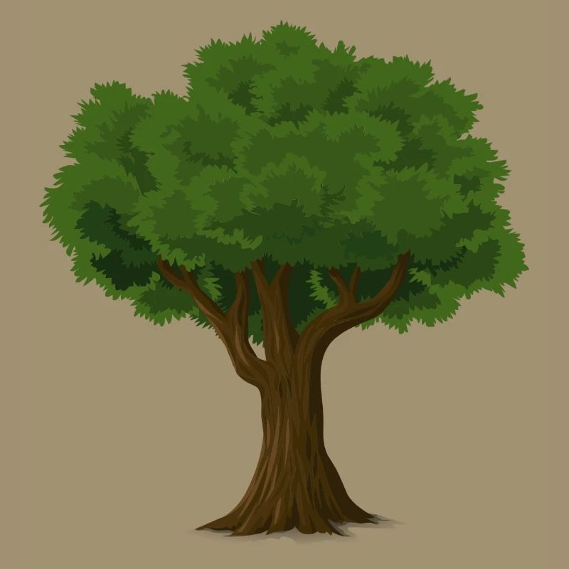 Baum