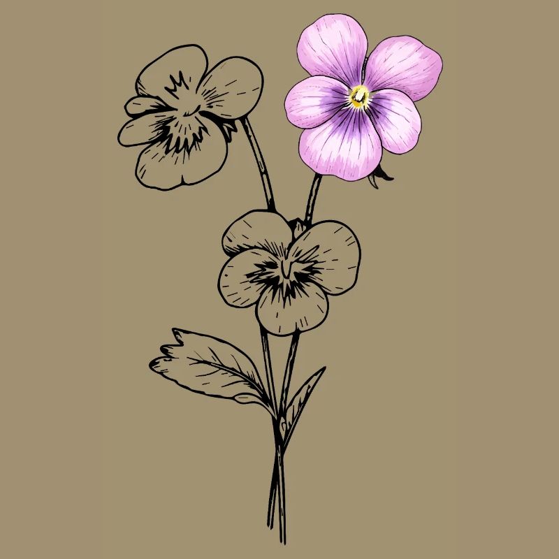 Illustration de fleurs de pensée