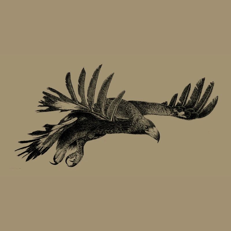 The Eagle