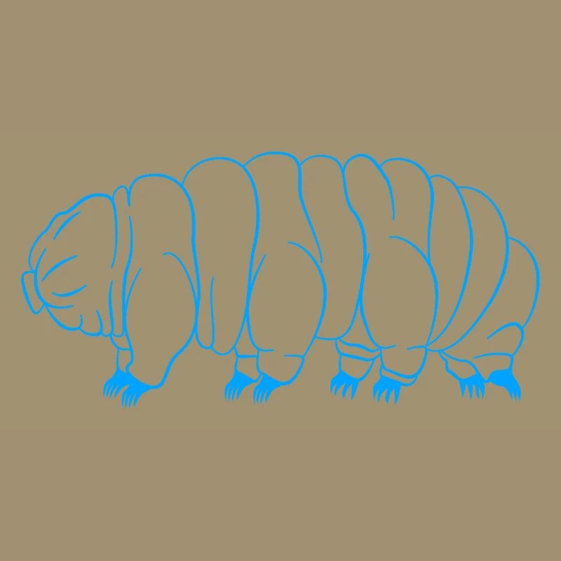 Tardigrade Tardigrade Water Bear Tardigrade