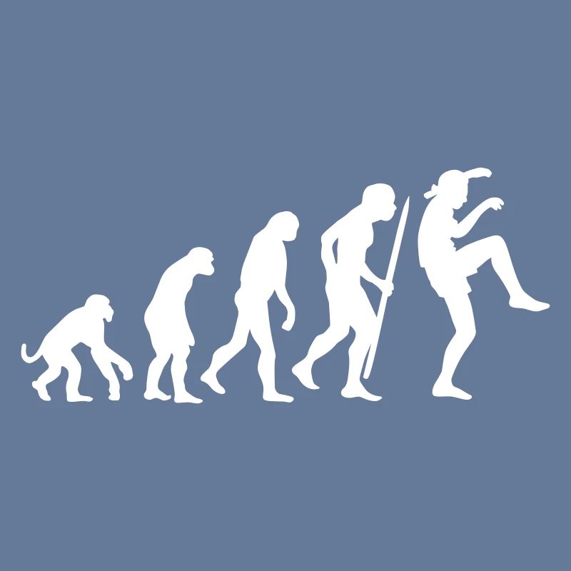 Funny Evolution Karate Vintage 80s Crane Kick