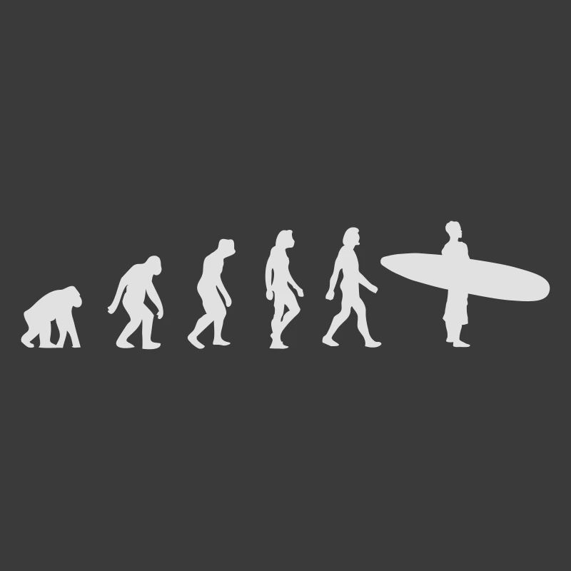 L'évolution du surf