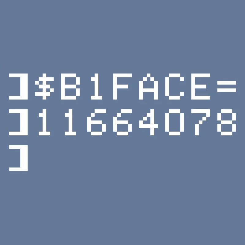 B1FACE Biface Code hexadécimal 8 bits Geek