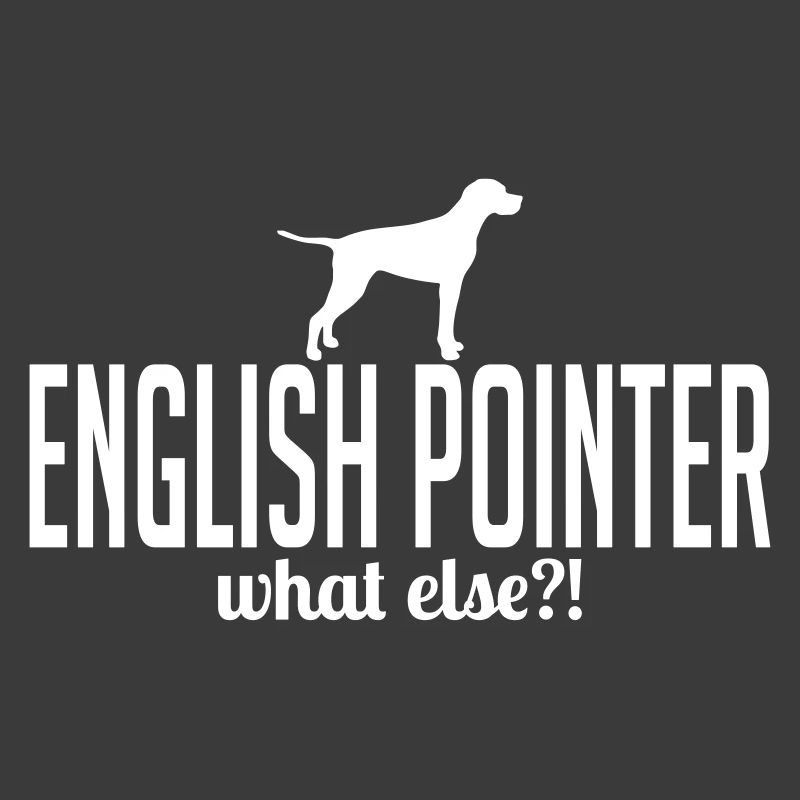 ENGLISH POINTER what else
