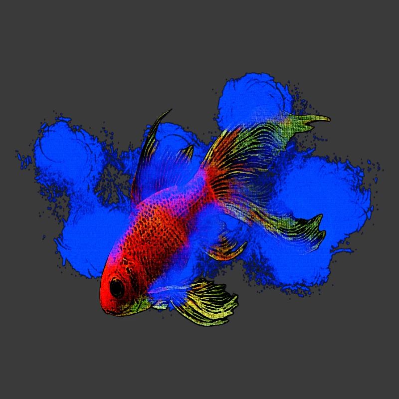 wassertiere, schleierschwanz Goldfisch