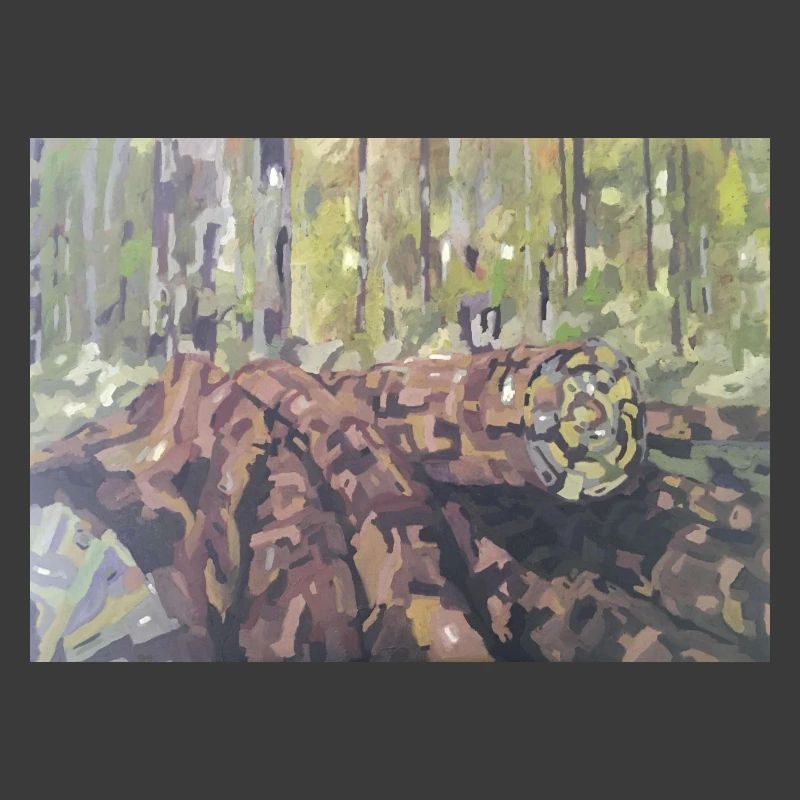 Logs in the forest – an impressionistic landscape