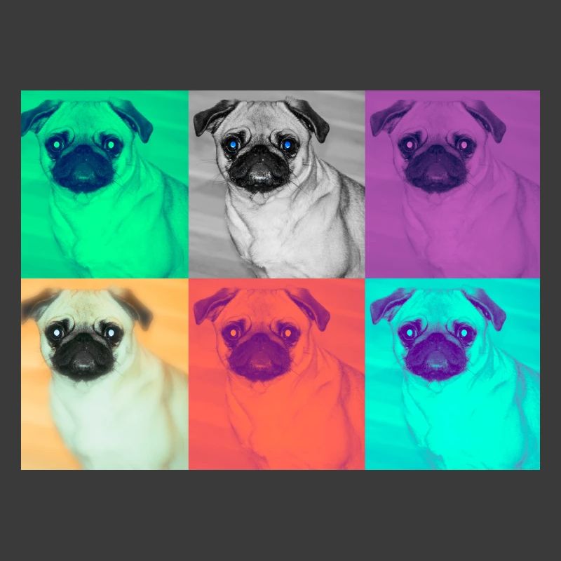 Pop Art Conception de chien