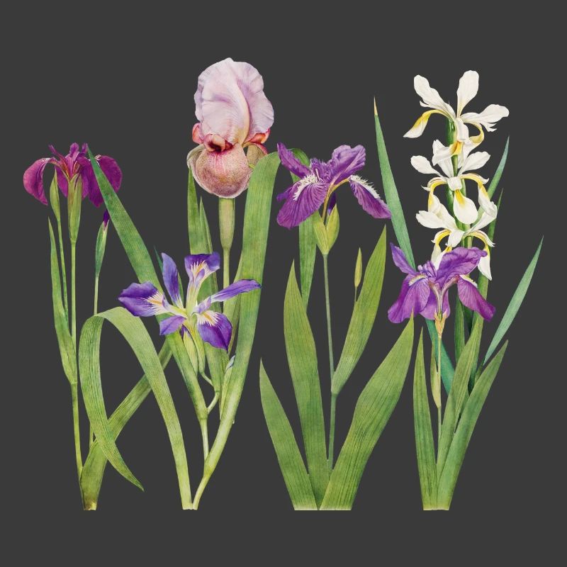 Wilde Iris und Orchidee Botanisches Design