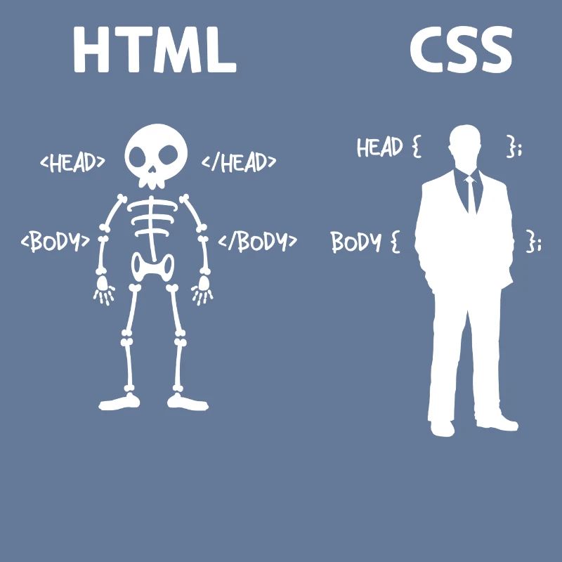 Code Css C++ Php Java Developer Code Skripting