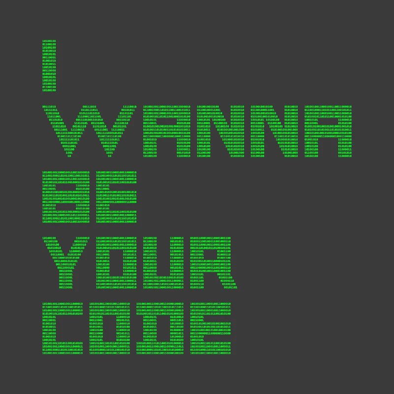 ICH WILL DEIN CODE SEIN - Binärer Geek-Humor