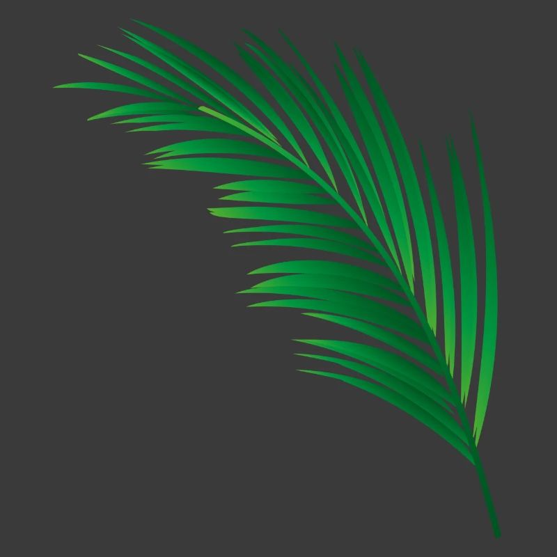 single green palm leaf