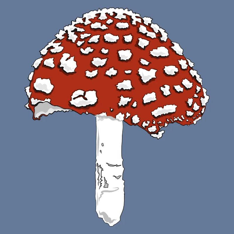 Toadstool toadstool amanita