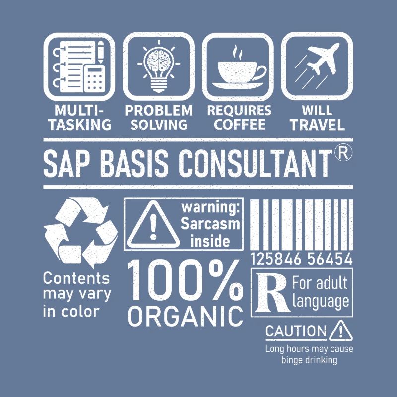 Sap Basis Consultant multi tasking problem solving