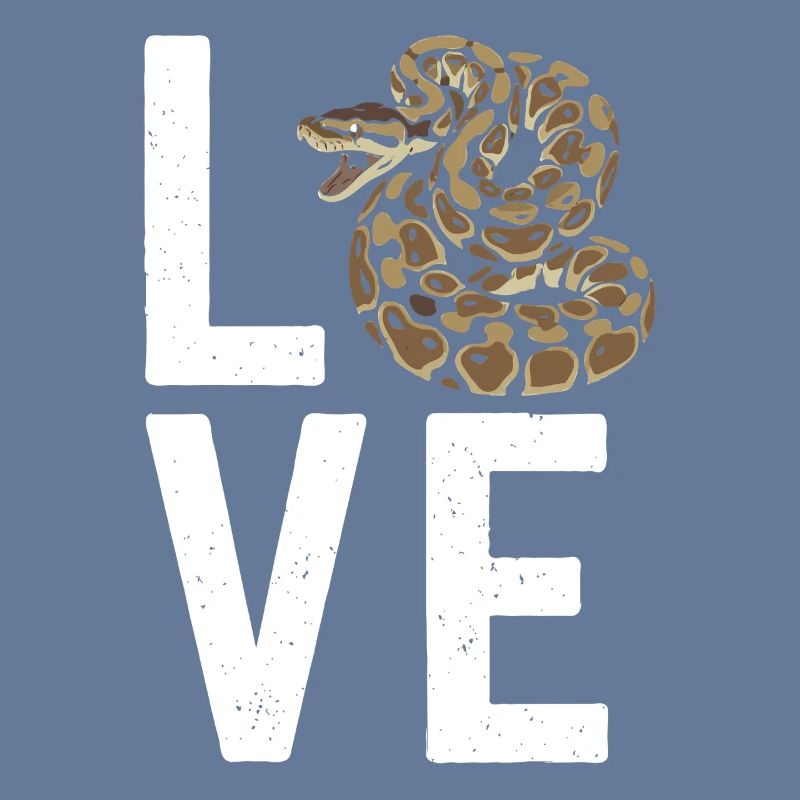 Königspython Schlangen LOVE Terrarium Python