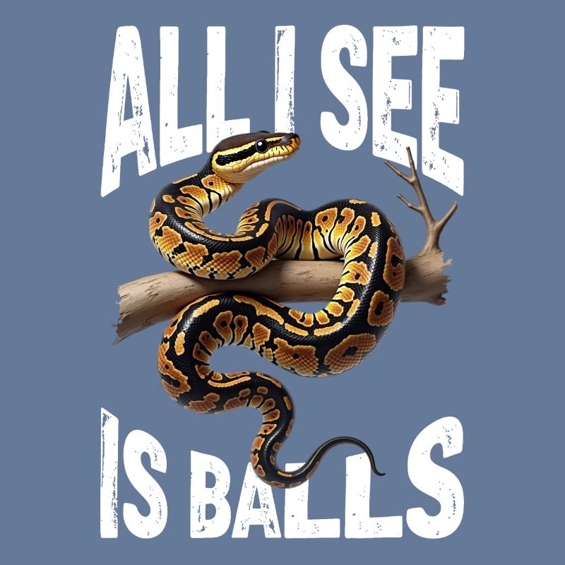 Python roi Serpents Amateurs de terrarium Python