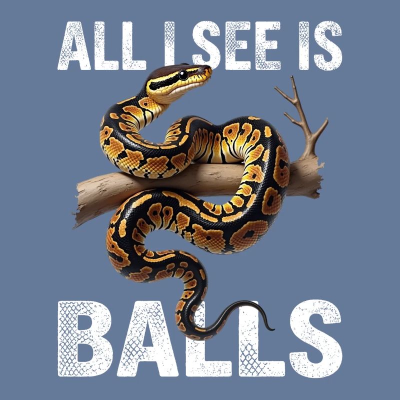 Python roi Serpents Amateurs de terrarium Python