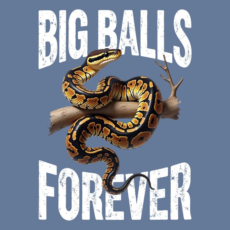 Python roi Serpents Amateurs de terrarium Python