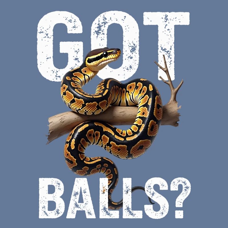 Python roi Serpents Amateurs de terrarium Python