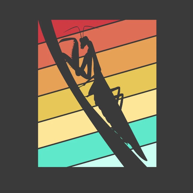 Mantis Gottesanbeter Gottesanbeterin