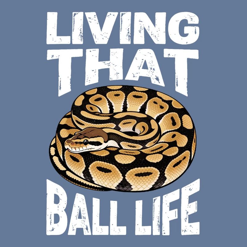 Python roi Serpents Amateurs de terrarium Python