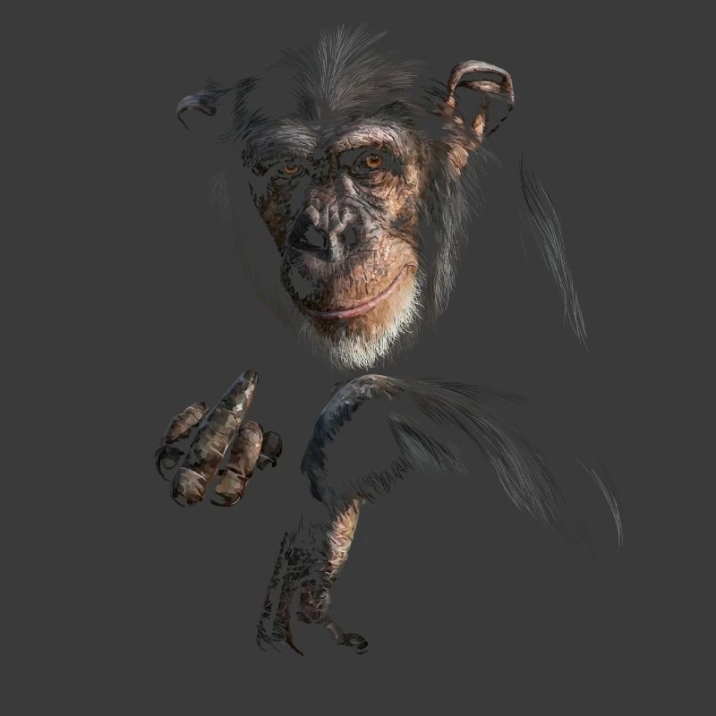 Chimpanzé