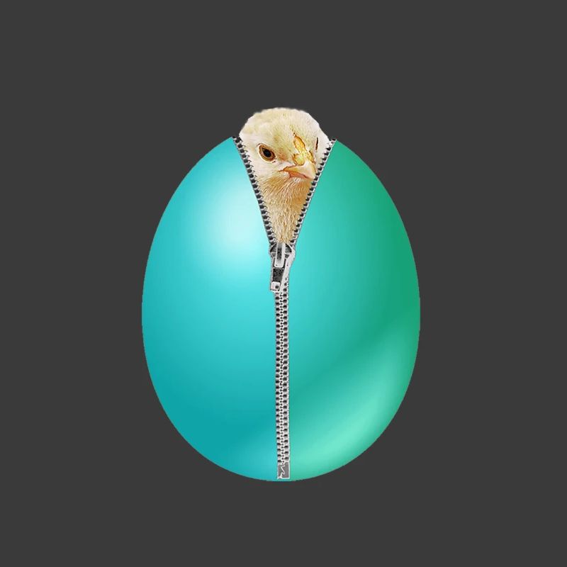 Chick Zip Easter Egg cadeau