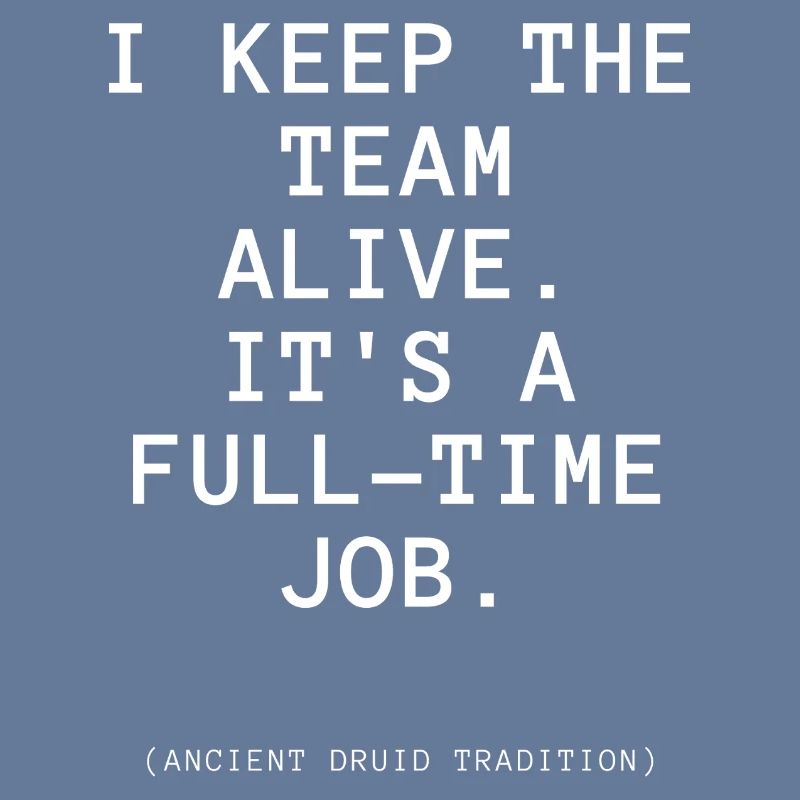 T-shirt sur le thème du druide de DeD