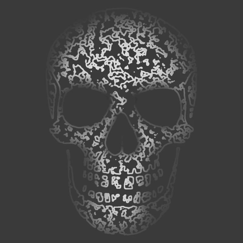 Skull Structure R6Z