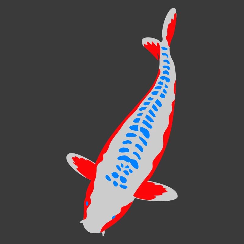Koi - Nishikigoi