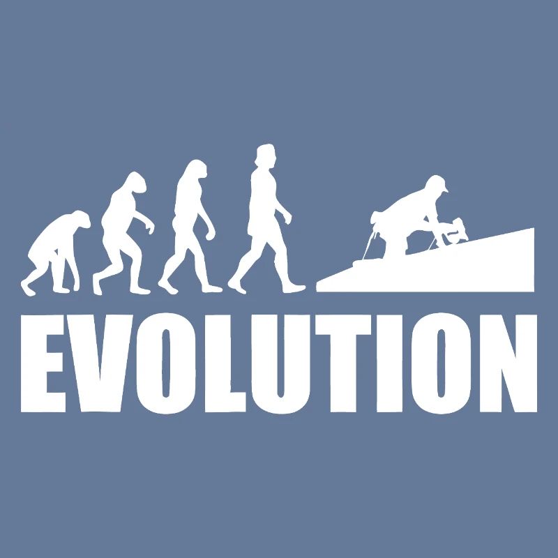 Evolution to Innovation
