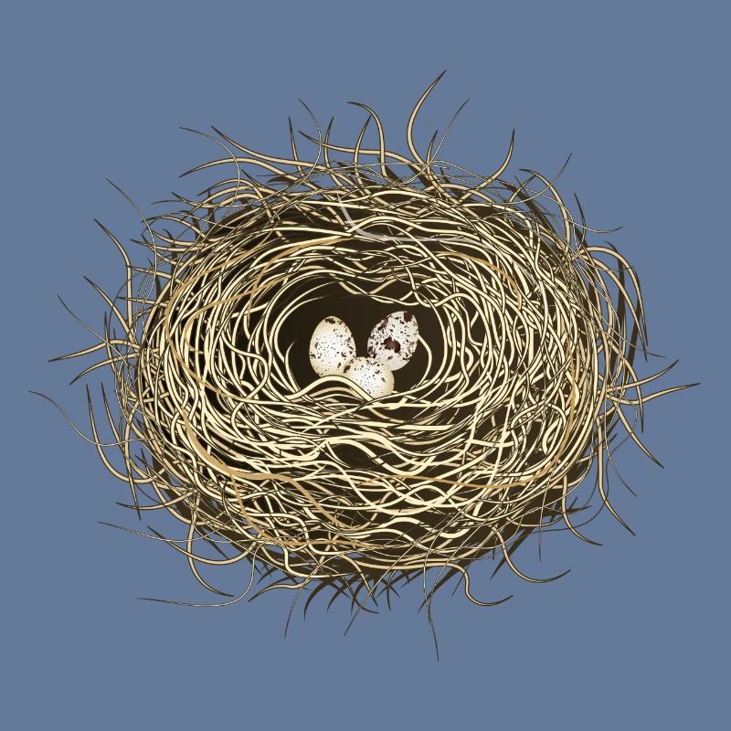 Vogelnest oder Osternest mit drei Vogel Eier