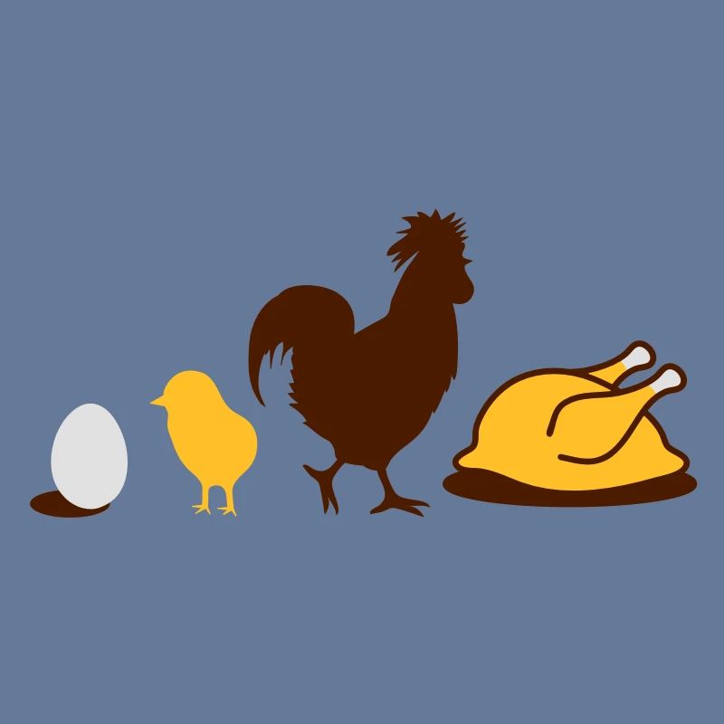 Egg,chick, rooster and chicken poultry Evolution