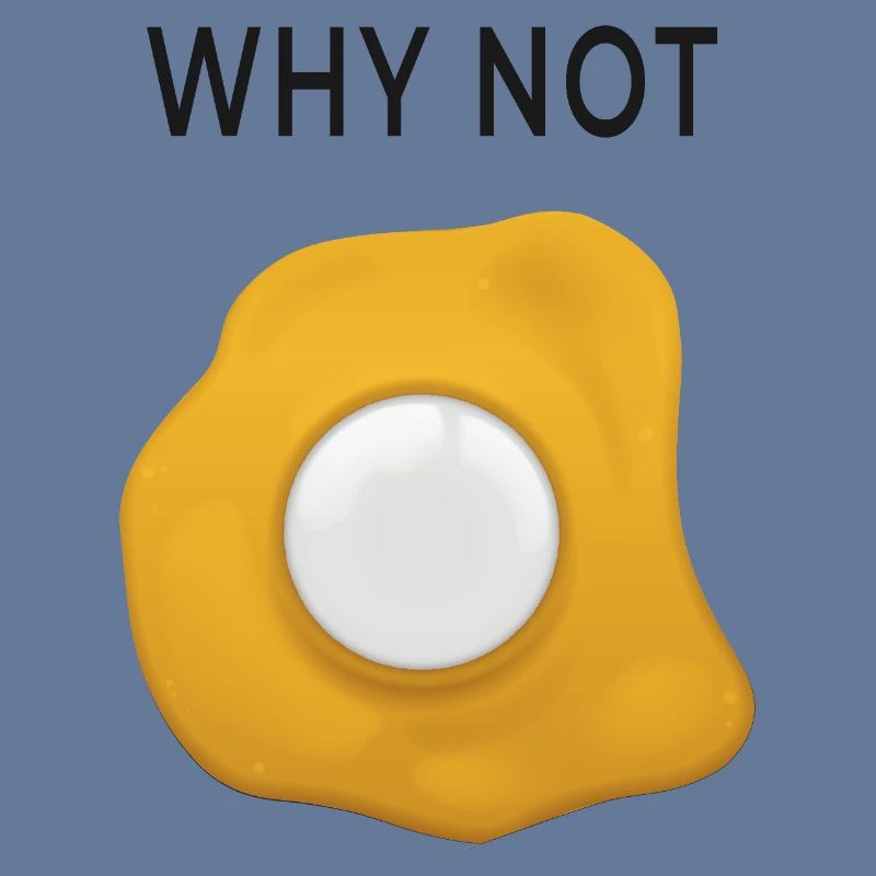 Why Not Rethinking Fried Eggs