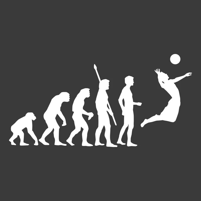 evolution_volleyball_1c