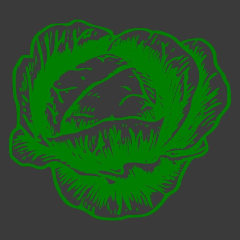 cabbage red cabbage white cabbage cabbage kale veggie gemuese