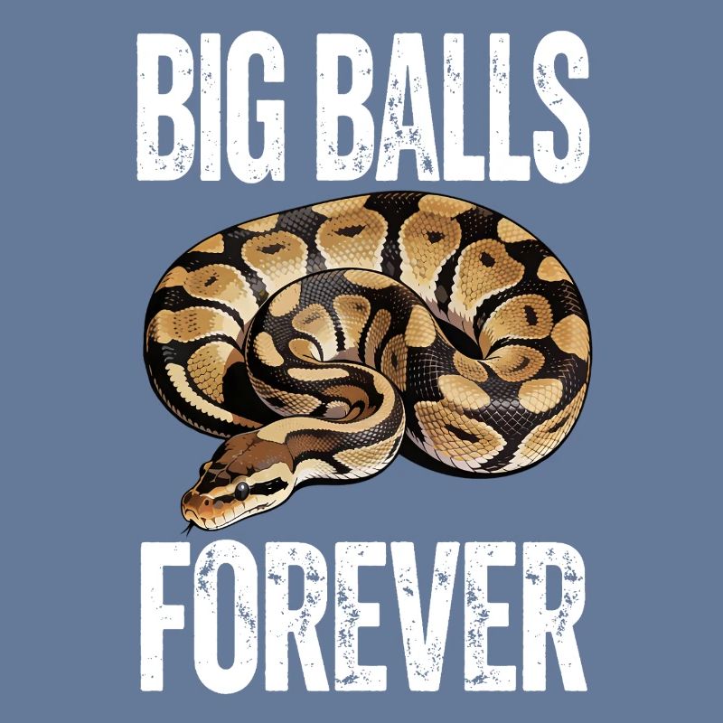 Königspython Schlangen Liebhaber Terrarium Python