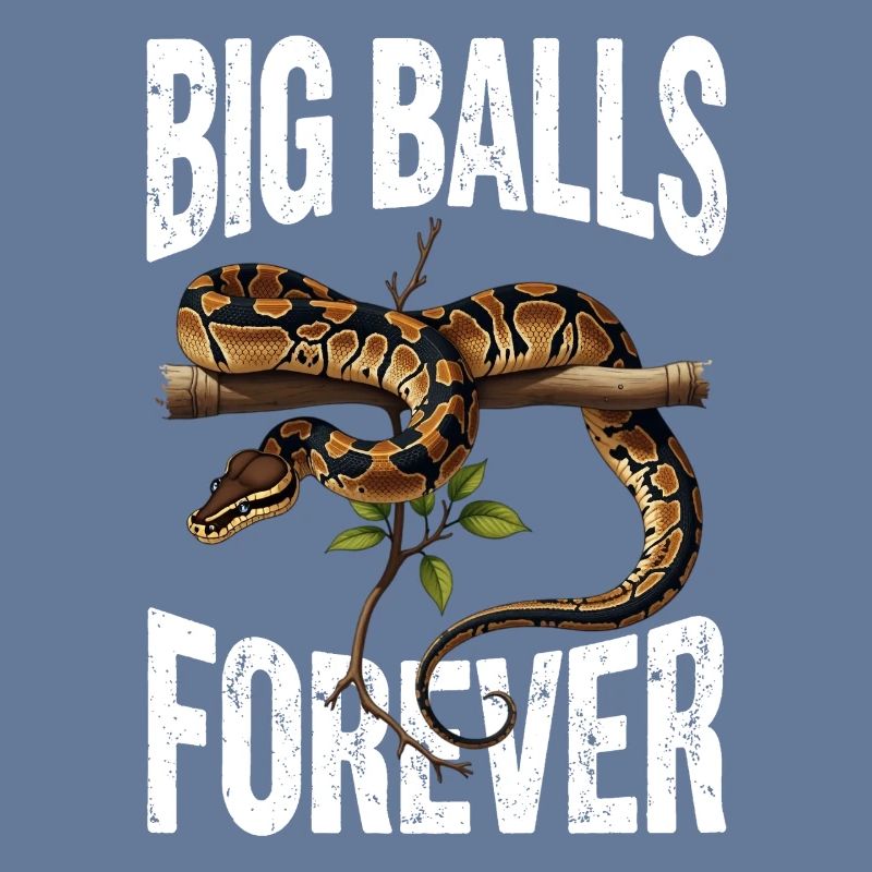 Python roi Serpents Amateurs de terrarium Python