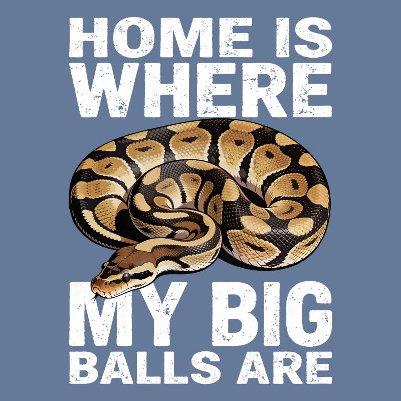 Python roi Serpents Amateurs de terrarium Python