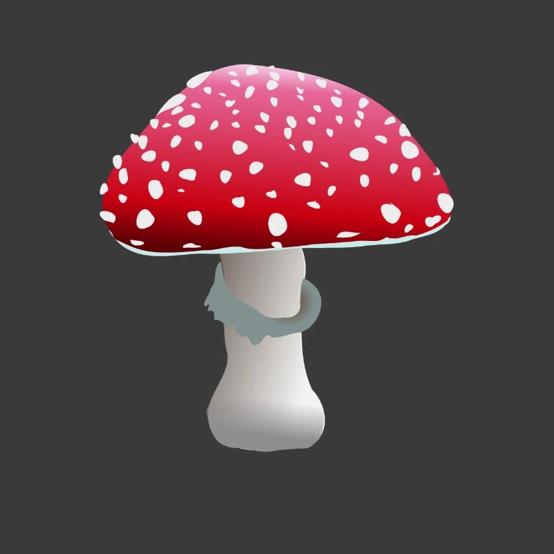 fly agaric