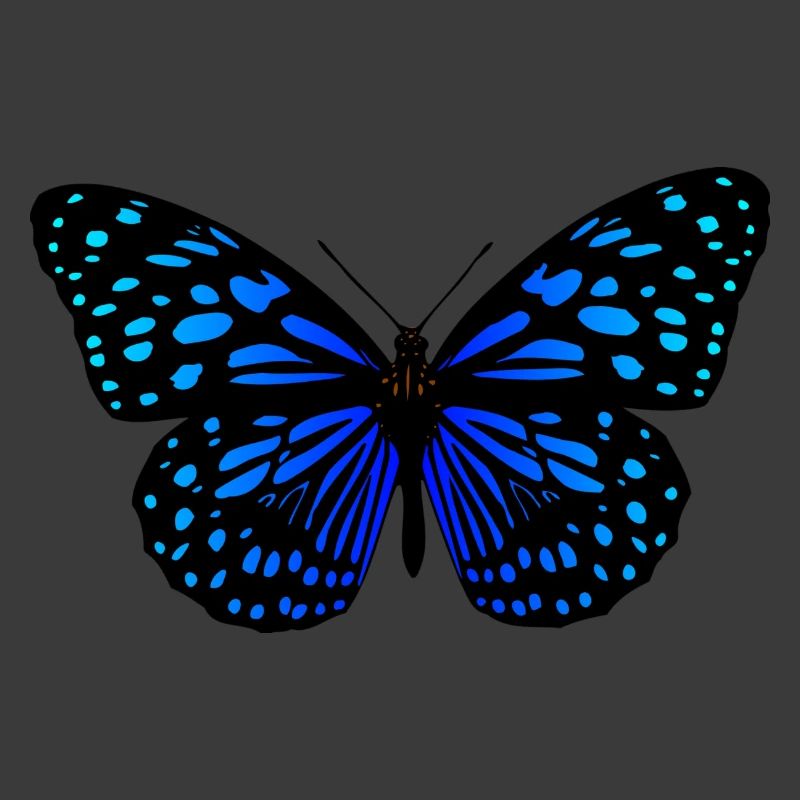 papillon