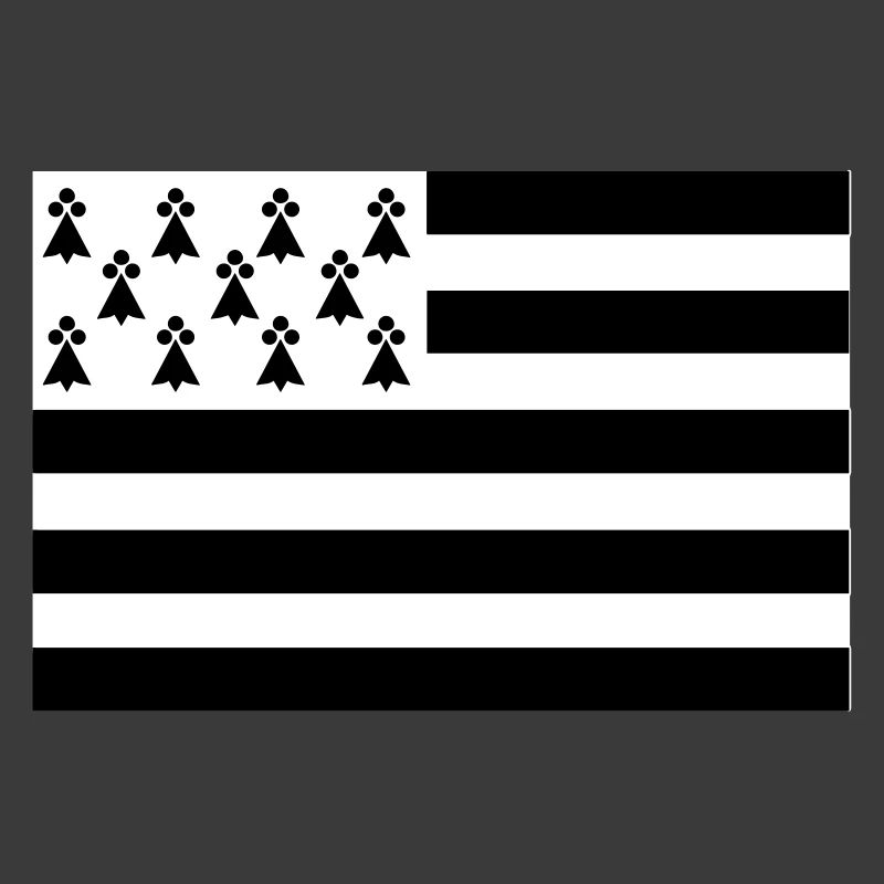 Drapeau Bretagne original
