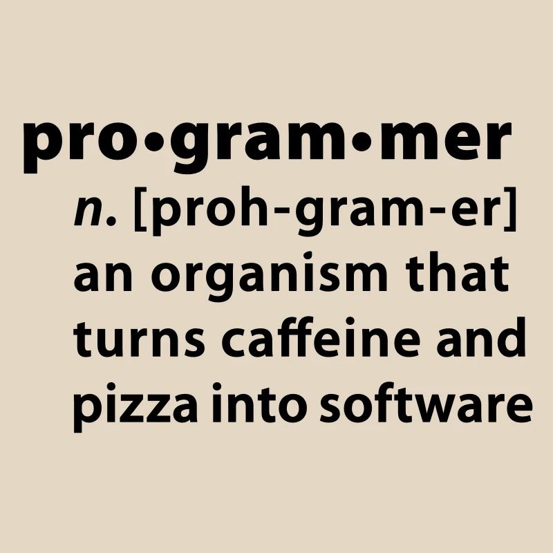 Program definition - the definition Programmer